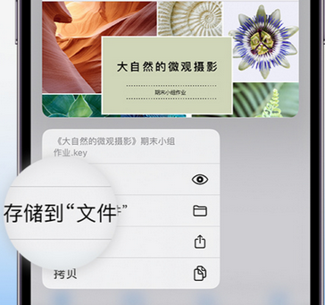 邢台apple维修中心分享iPhone文件应用中存储和找到下载文件