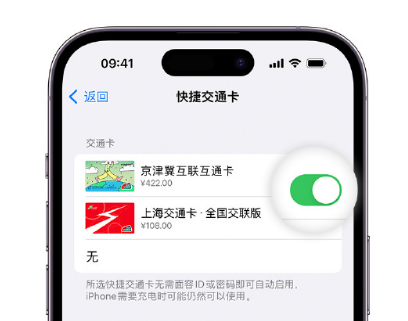 邢台apple维修点分享iPhone上更换Apple Pay快捷交通卡手绘卡面 