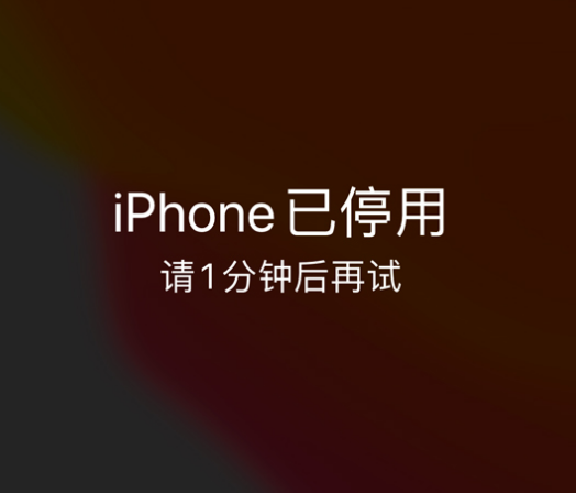 邢台苹果手机维修分享:iPhone 显示“不可用”或“已停用”怎么办？还能保留数据吗？ 