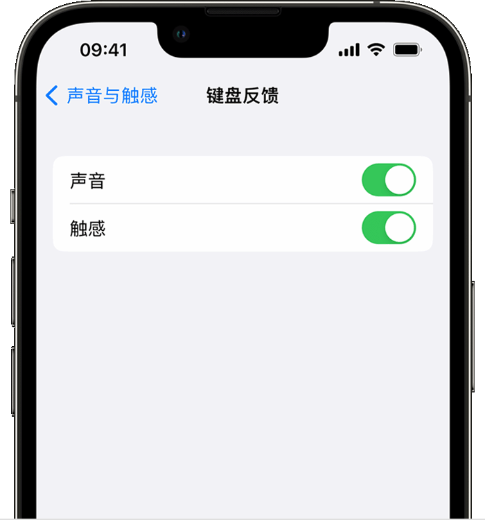 邢台苹果14维修店分享如何在 iPhone 14 机型中使用触感键盘 