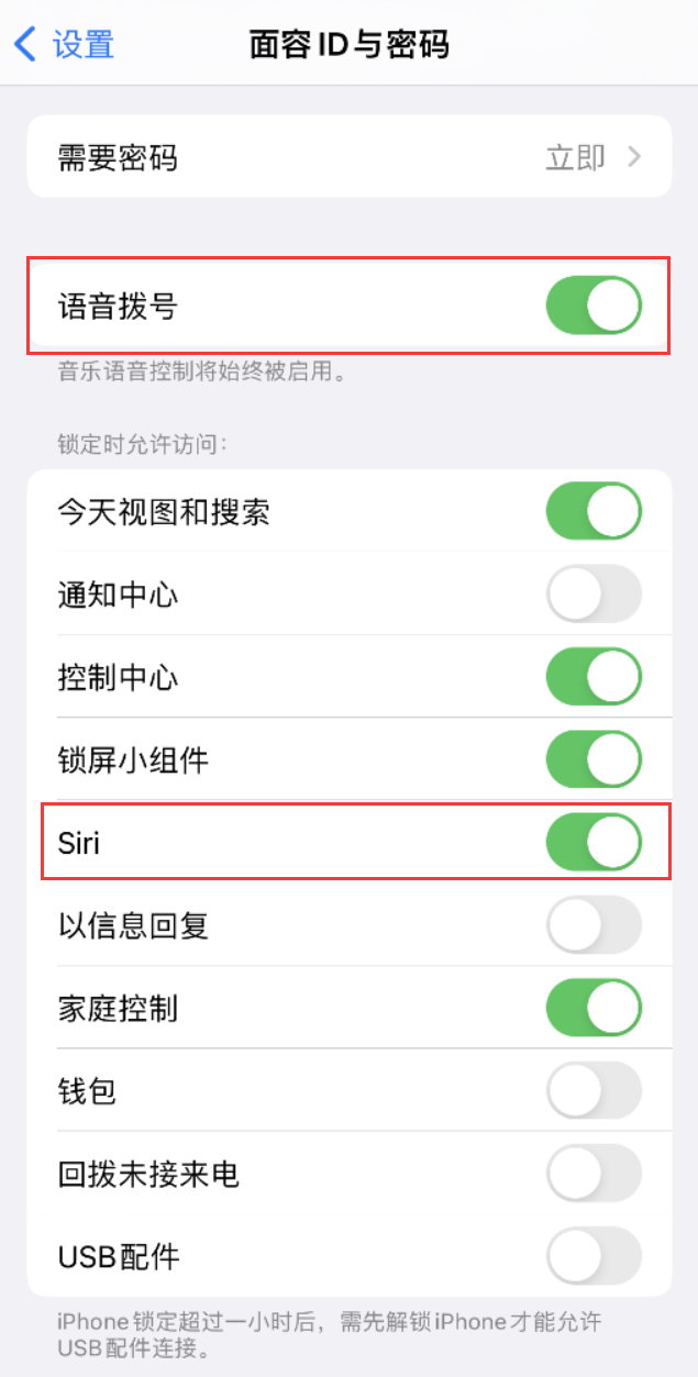 邢台苹果维修网点分享不解锁 iPhone 的情况下通过 Siri 拨打电话的方法 