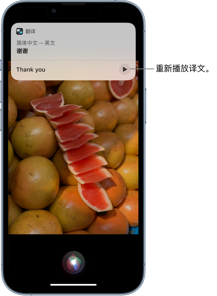 邢台苹果14维修分享 iPhone 14 机型中使用 Siri：了解 Siri 能帮你做什么 