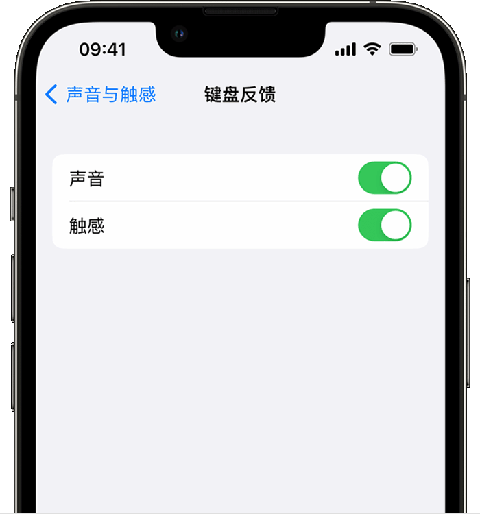邢台苹果14维修分享iPhone 14 系列机型如何开启键盘声音或触感反馈 