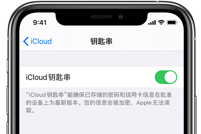 邢台苹果手机维修分享在 iPhone 上开启 iCloud 钥匙串之后会储存哪些信息 