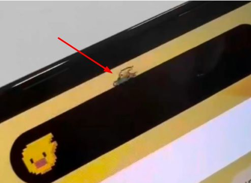 邢台苹果14维修分享iPhone 14 Pro Max灵动岛怎么养宠物 