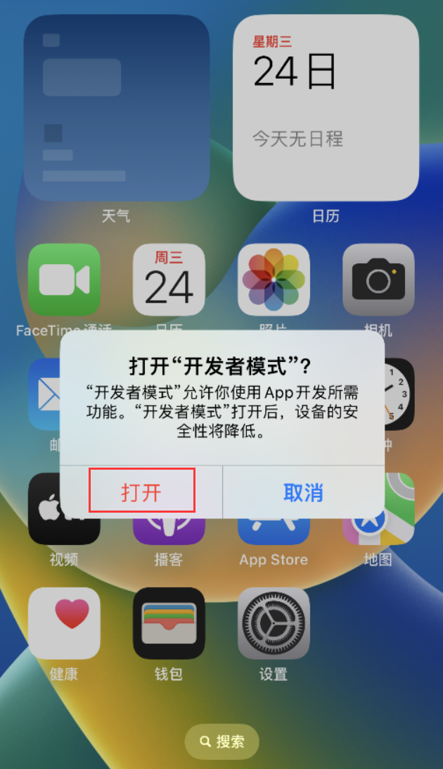 邢台苹果手机维修分享如何打开开发者模式 
