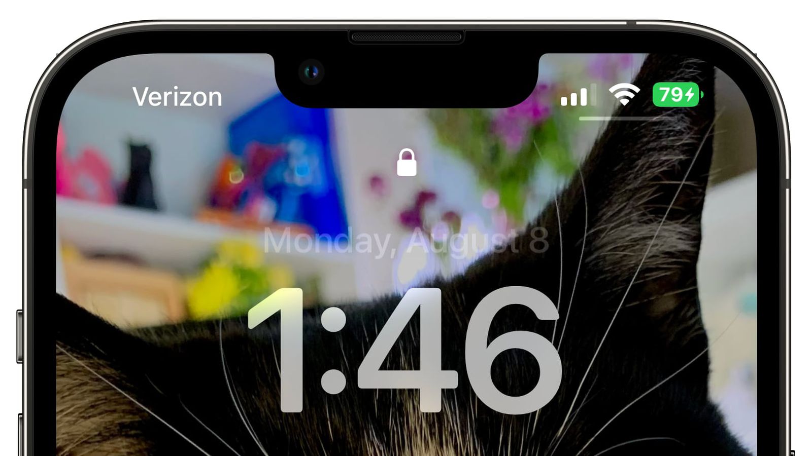邢台苹果手机维修分享iOS 16 beta 5 支持状态栏显示电池百分比，如何开启？支持哪些机型 