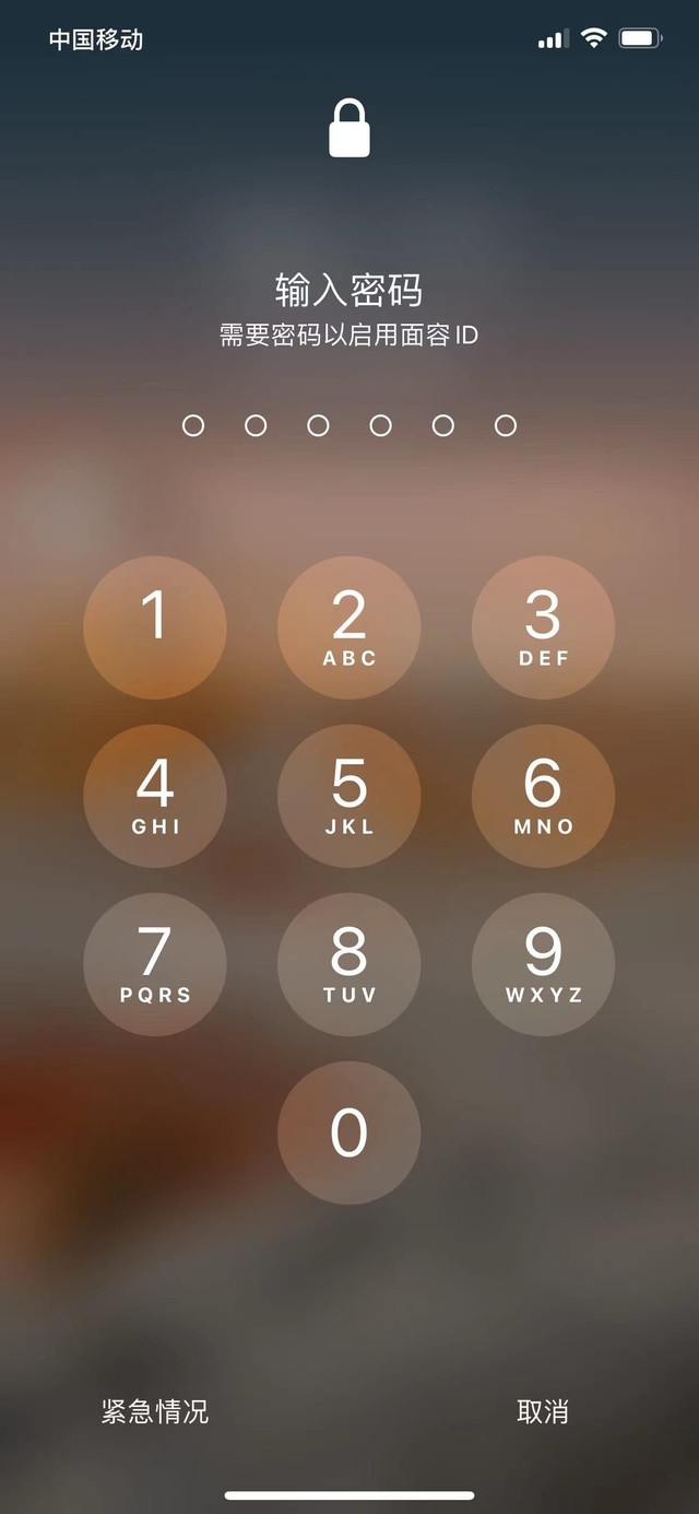 邢台苹果13维修分享iPhone 13加强锁屏功能有什么用 