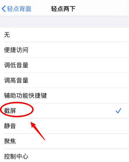 邢台苹果手机维修分享iPhone12如何启用双击截屏 