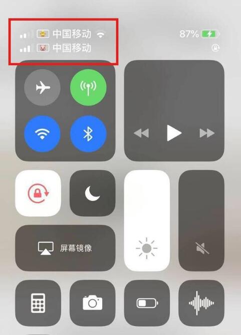邢台苹果手机维修分享为 iPhone 12 双卡设置标签 